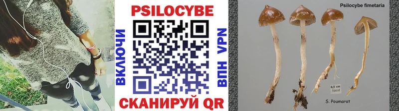 Галлюциногенные грибы Psilocybine cubensis  Высоцк 